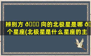 辨别方 🐟 向的北极星是哪 🦟 个星座(北极星是什么星座的主要标志)